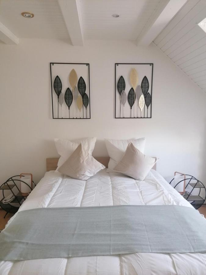 Apartamento Chez Carine Schiltigheim Exterior foto