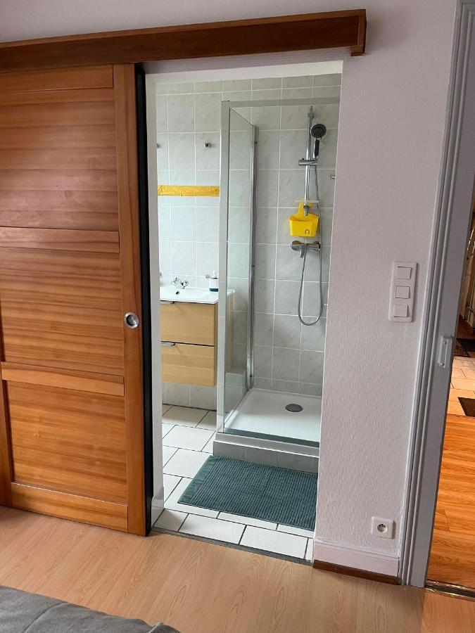 Apartamento Chez Carine Schiltigheim Exterior foto
